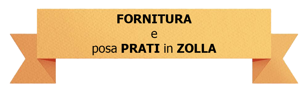 Fornitura e posa